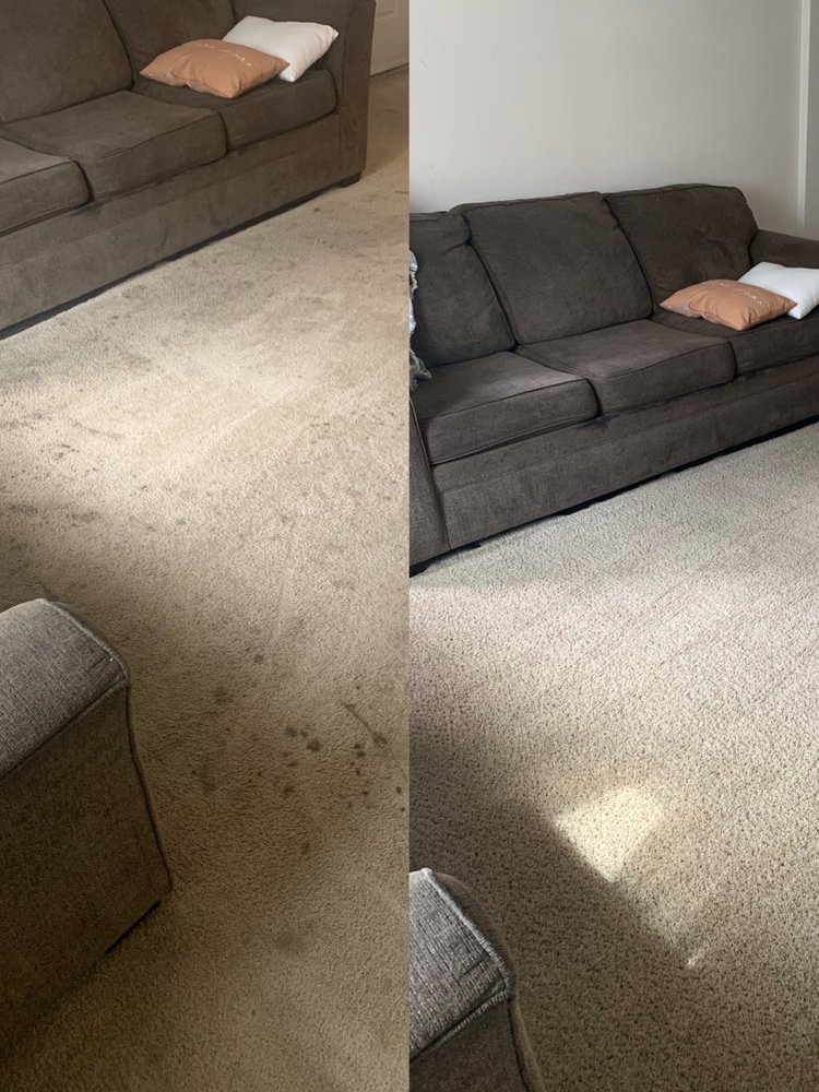 PureClean Carpet & Tile Care