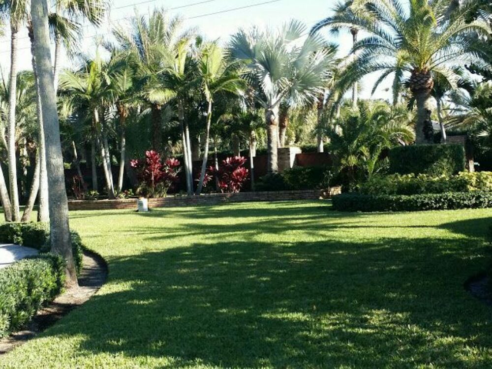 Reel Time Lawncare