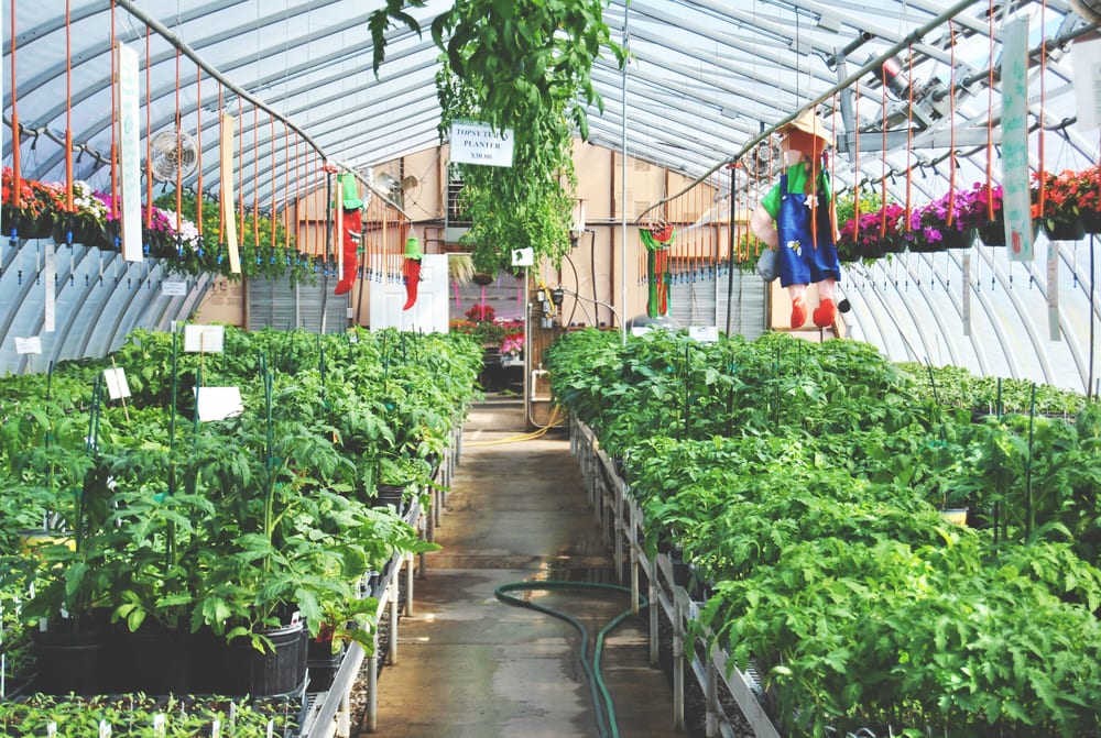 Hanson’s Garden Village - Nurseries & Gardening - 2660 County Hwy G