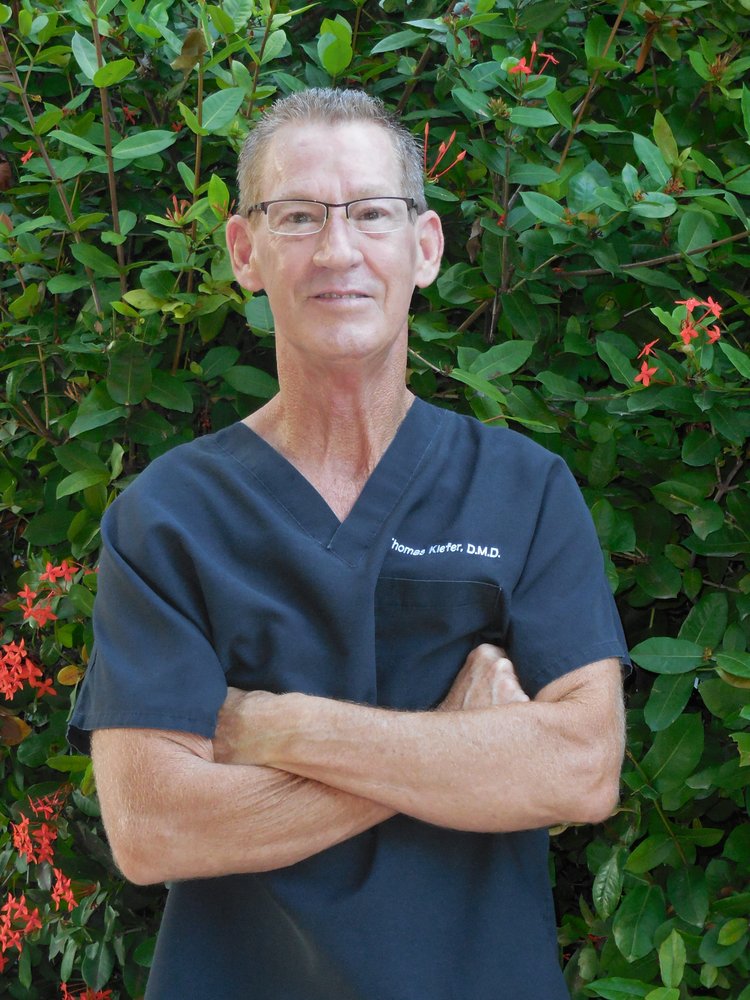image of business Thomas M Kiefer, DMD