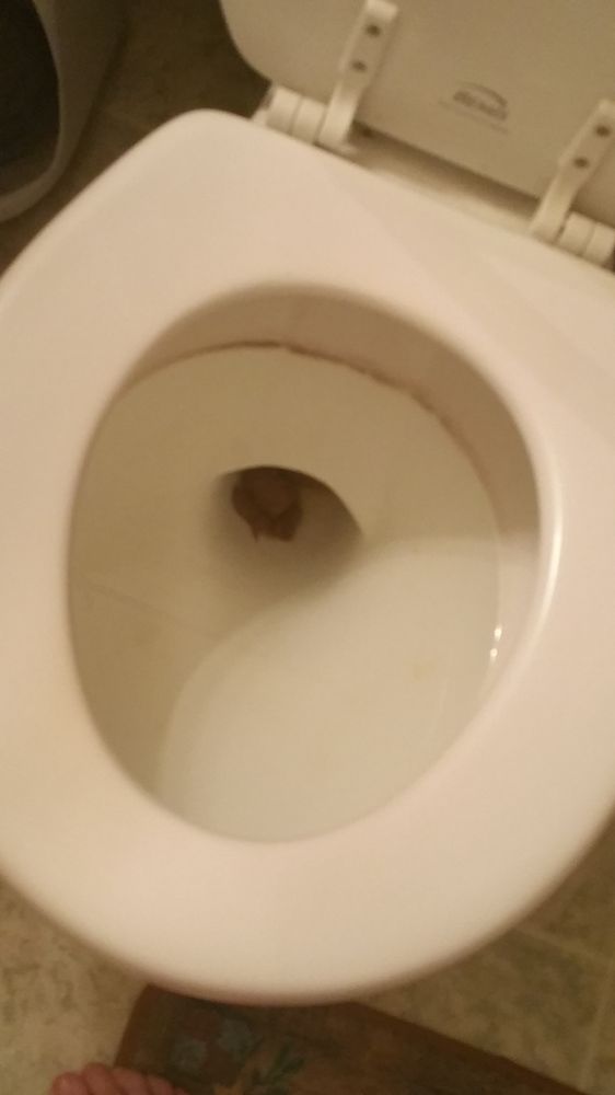 O