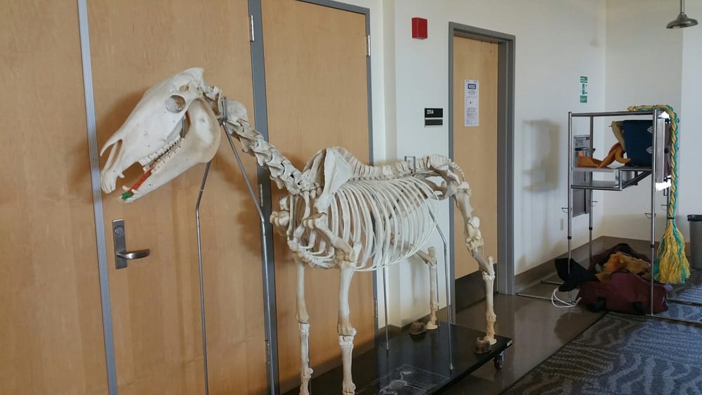 UC Davis Veterinary Teaching Hospital 68 Photos & 143 Reviews