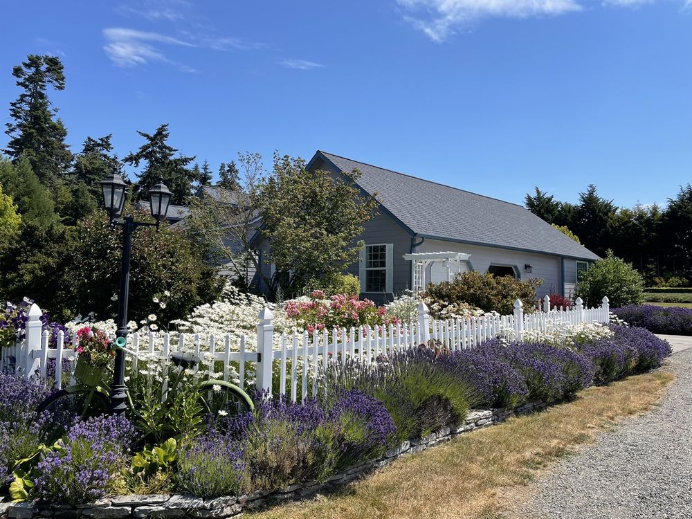 Kitty B's Lavender Farm