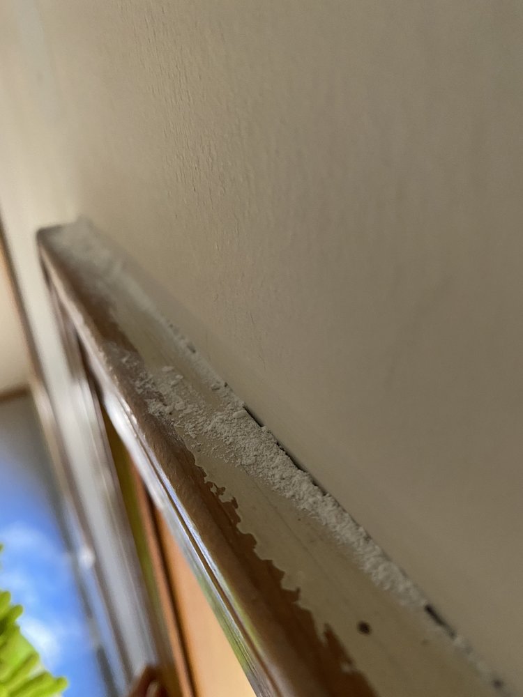 Magic Cleaning Group