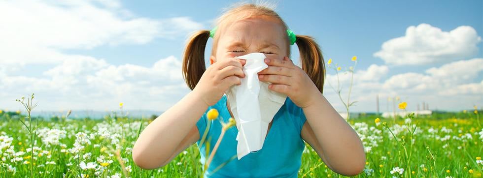 image of business Asthma & Allergy Center