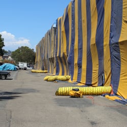 best rate termite 56