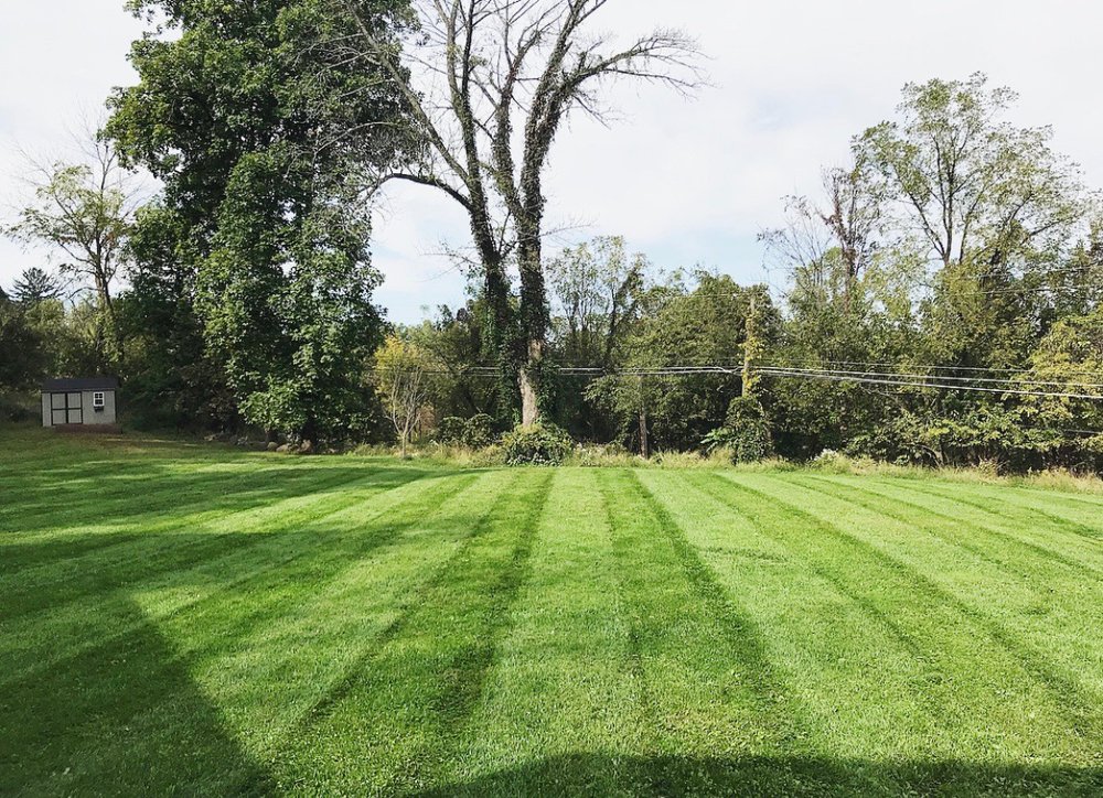 Kings Lawn Care