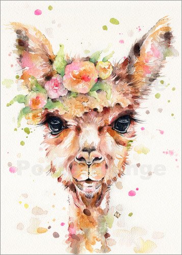 Owl & Rabbit Gallery