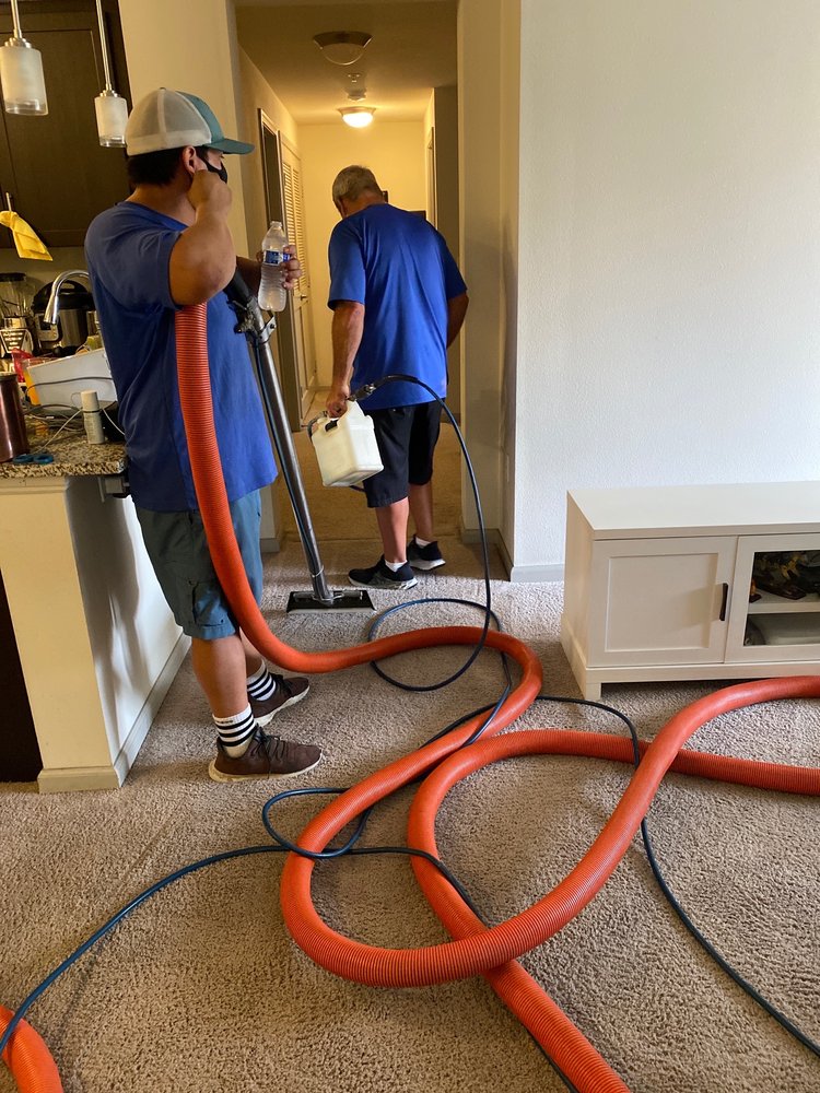 Ultra-Brite Carpet Cleaning