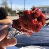 Chicken Lollypop