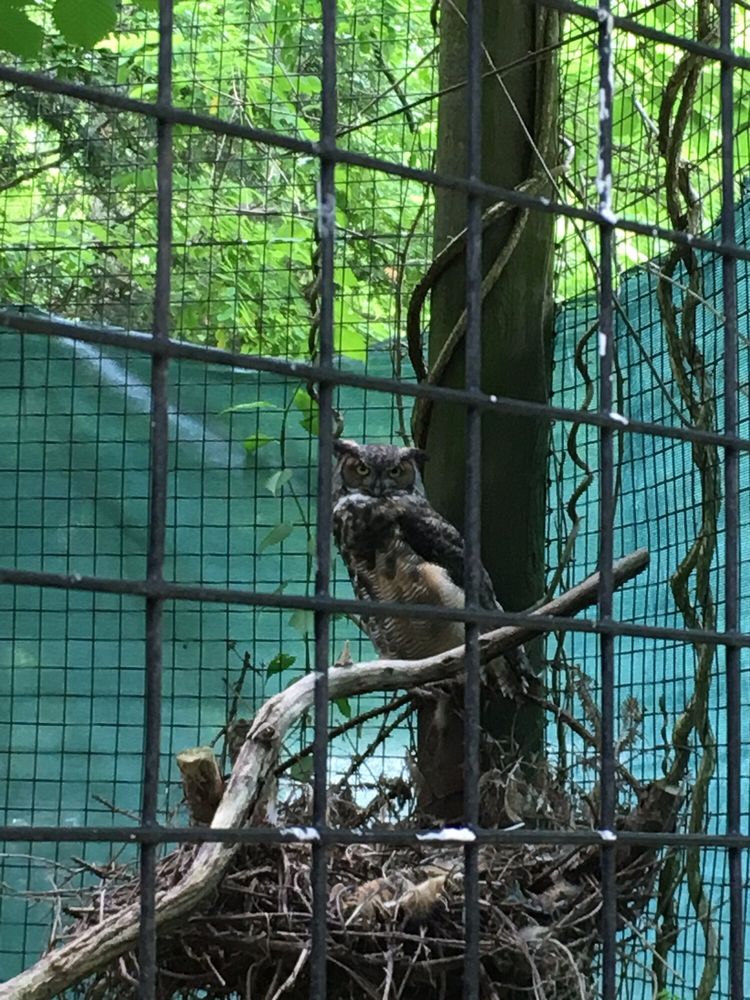 Trevor Zoo 16 Photos Zoos 282 Millbrook School Rd, Millbrook, NY