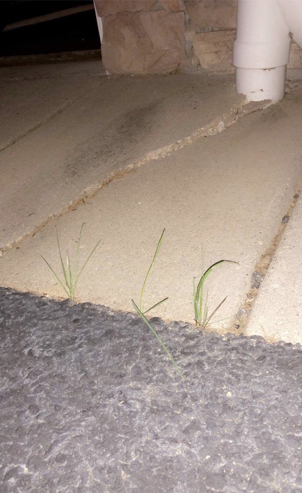 image of business Ecoworx