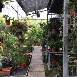 Blg Nursery Gardening Centres 32 Punggol E Singapore Photo Of Blg Nursery Singapore