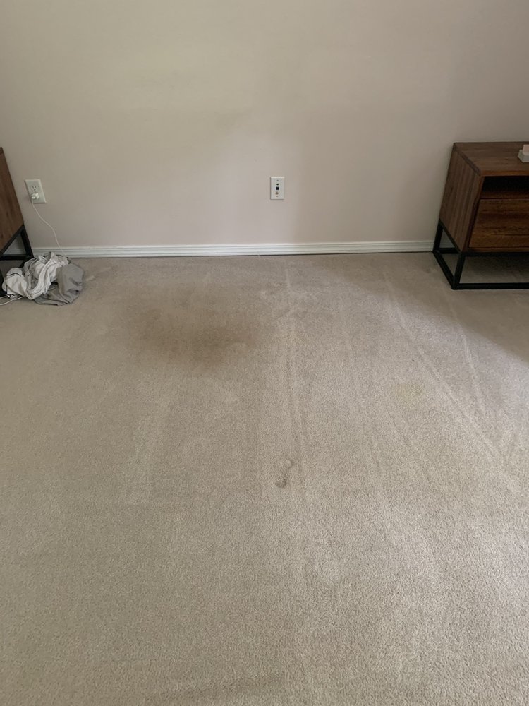 Clearwater Carpet Cleaners