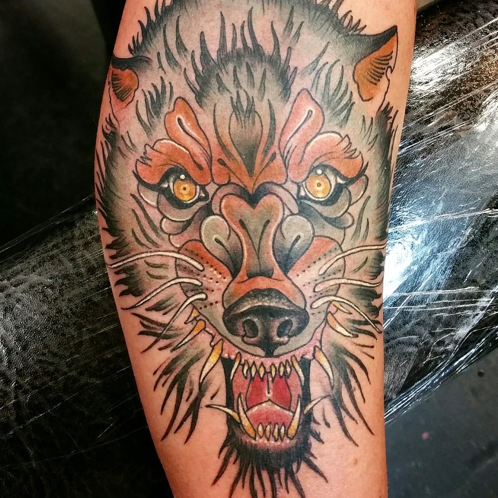 wolf by zander thorn yelp wolf by zander thorn yelp