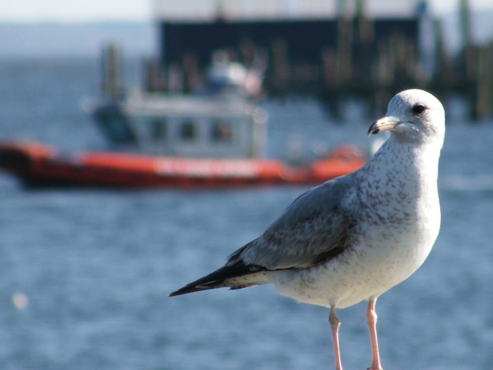 David Jordan Therapeutic Massage