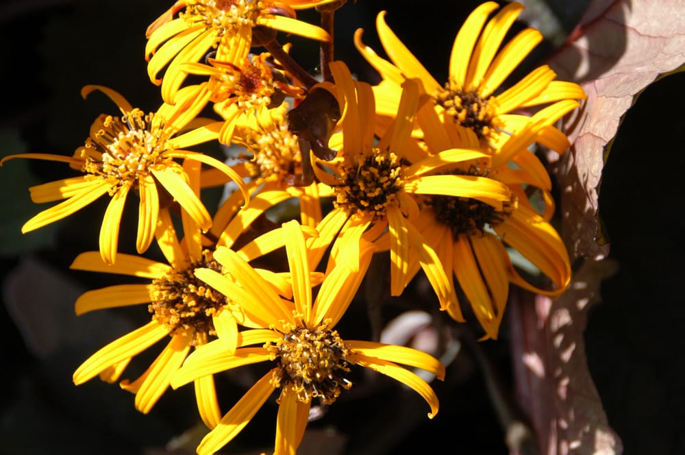 Photos for Christy Webber Farm & Garden Center - Yelp
