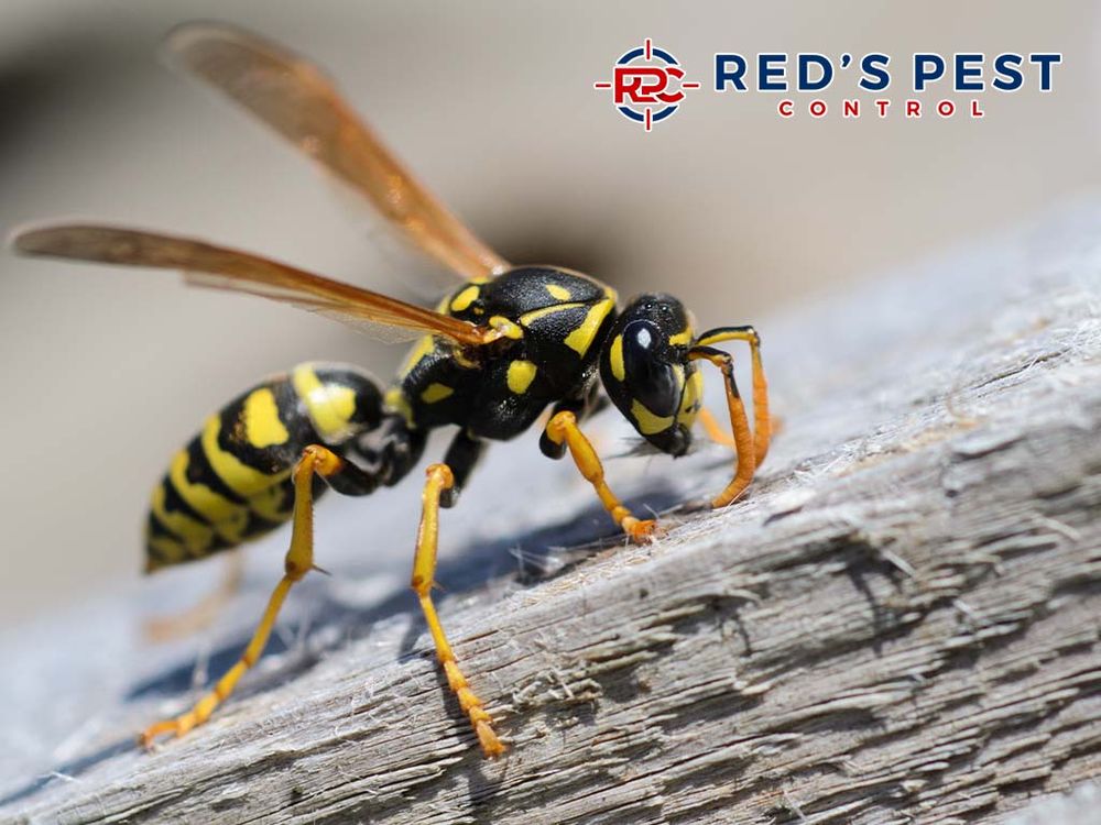 Red's Pest Control