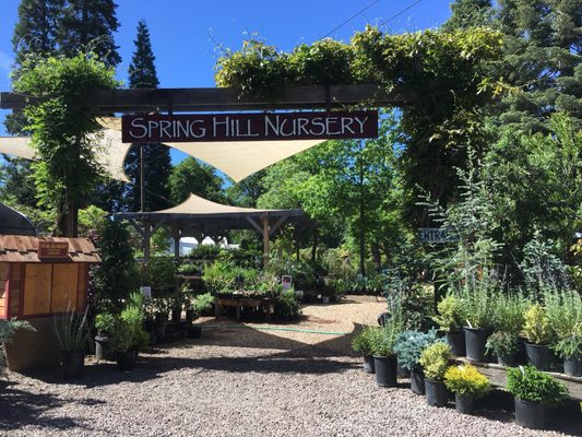 Spring Hill Nursery Gardens 1234 Nixon Rd Mount Shasta Ca Spring Hill Nursery Gardens 1234 Nixon Rd Mount Shasta Ca Nurseries Mapquest
