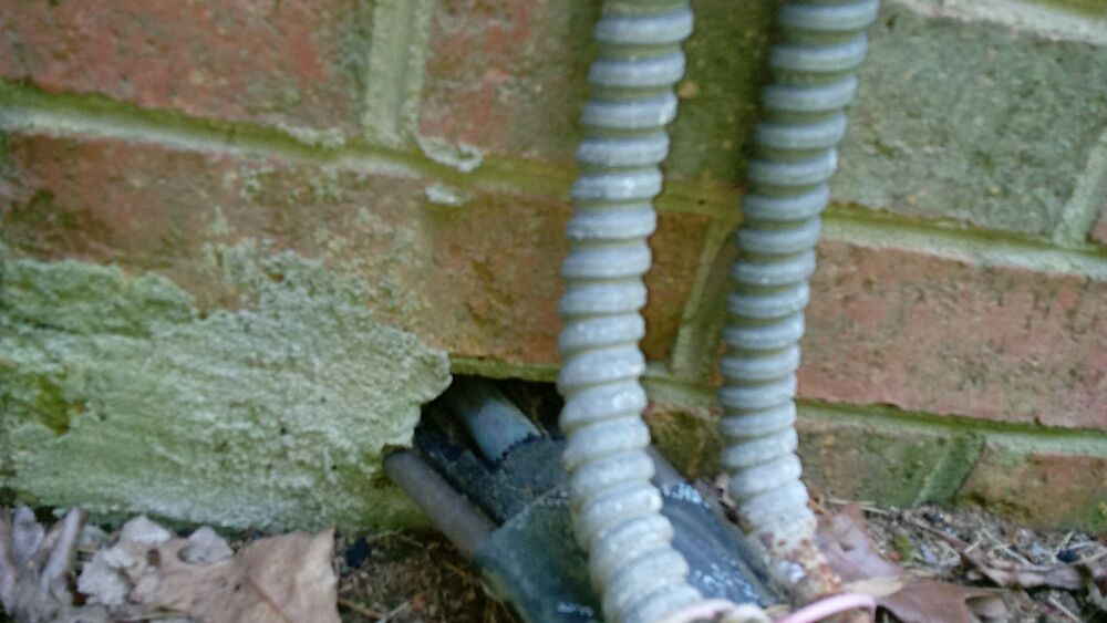 All About Animals NC