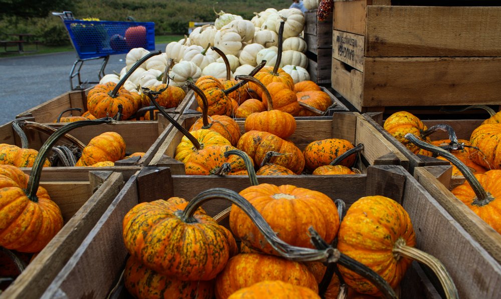Baugher's Orchard & Farm
