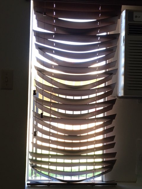 image of business Shutters & Blinds by Pat Nyman