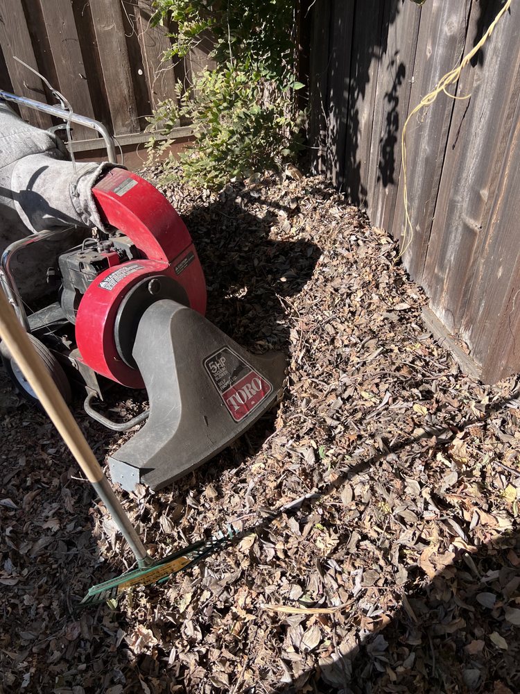 Valencia's Gardening Service