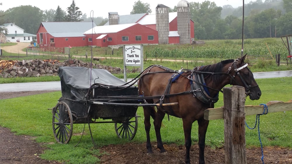 Amish In America Farmers Market Cashton, WI Phone Number Yelp