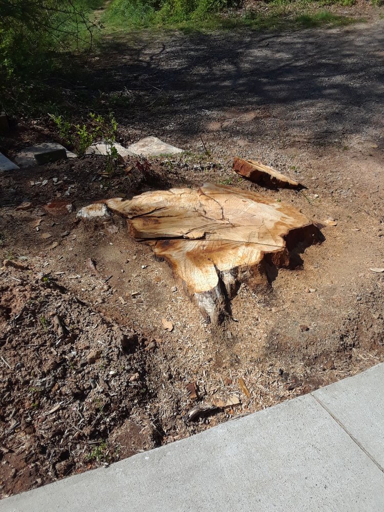 Newcomb Tree Service