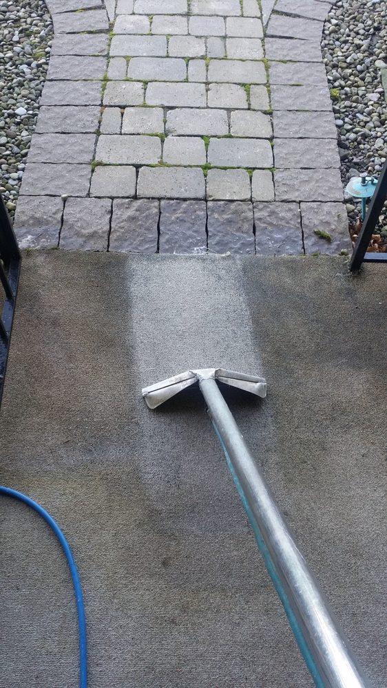 Contemporary Carpet Cleaning
