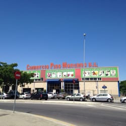 restaurante chino pino montano