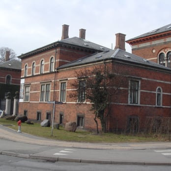 nøgen grønlænder frø nøgen grønlænder frø