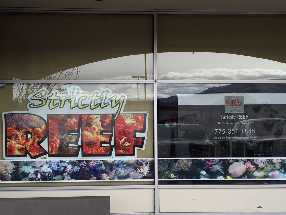 Strictly REEF 24 Photos & 13 Reviews Aquariums 907 W Moana Ln