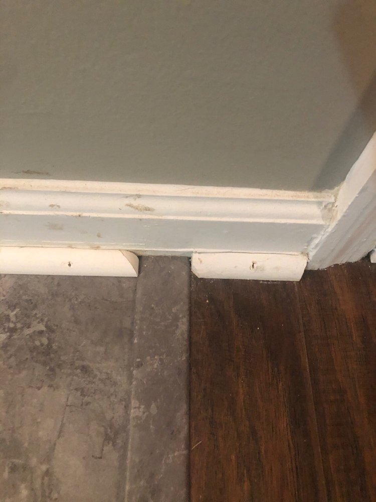 Lowe's Home Improvement