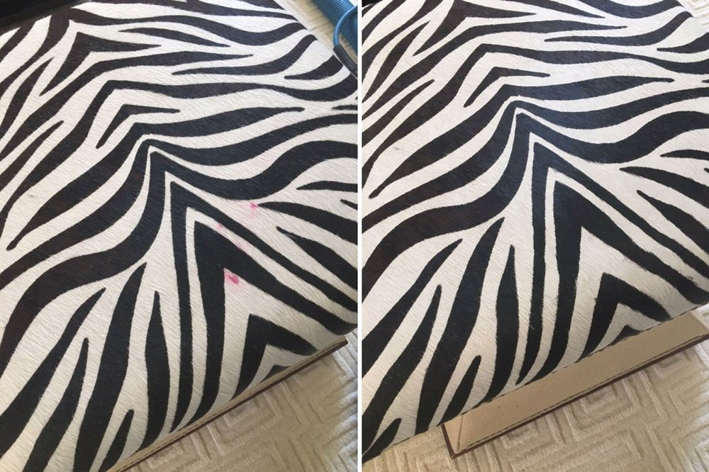 Eco Clean Carpet and Upholstery Cleaning