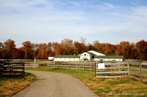 Scenic View Farms Horseback Riding 281 Long Swamp Rd New Egypt Photo Of Scenic View Farms New Egypt Nj United States