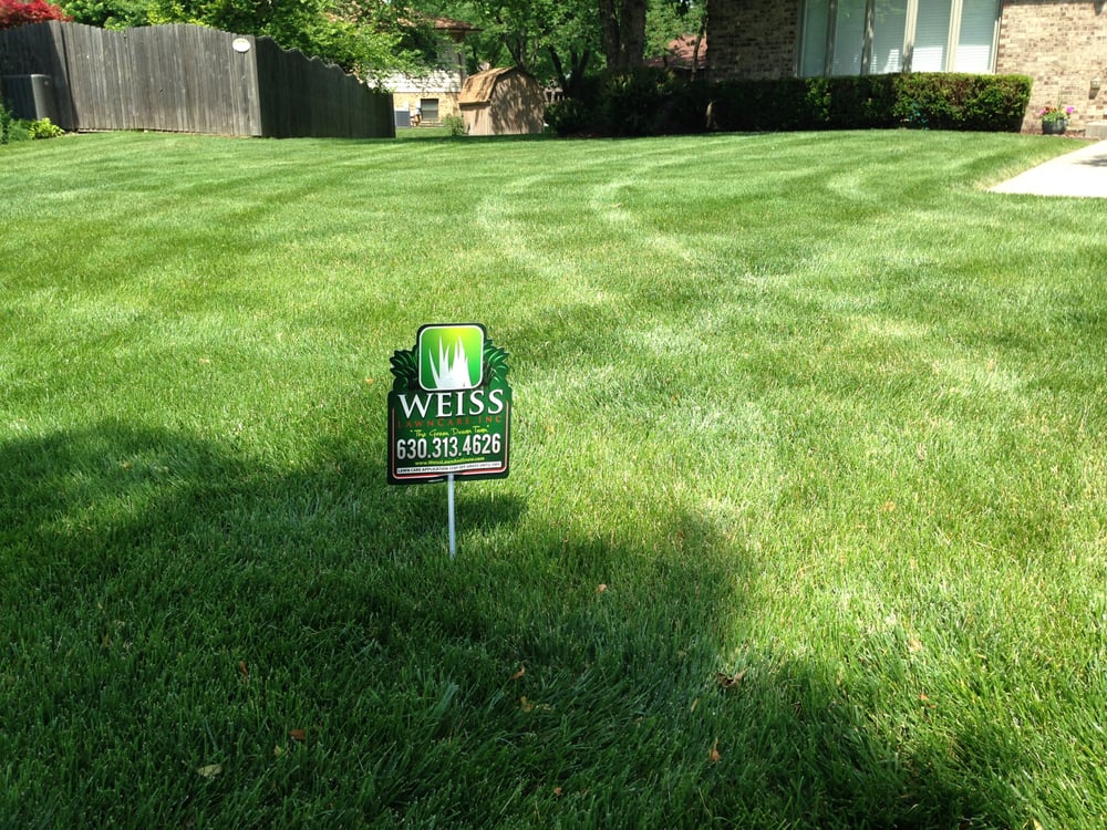 Get Your Lawn Treated Today Yelp Photo Of Weiss Lawn Care Inc Winfield Il United States Get Your