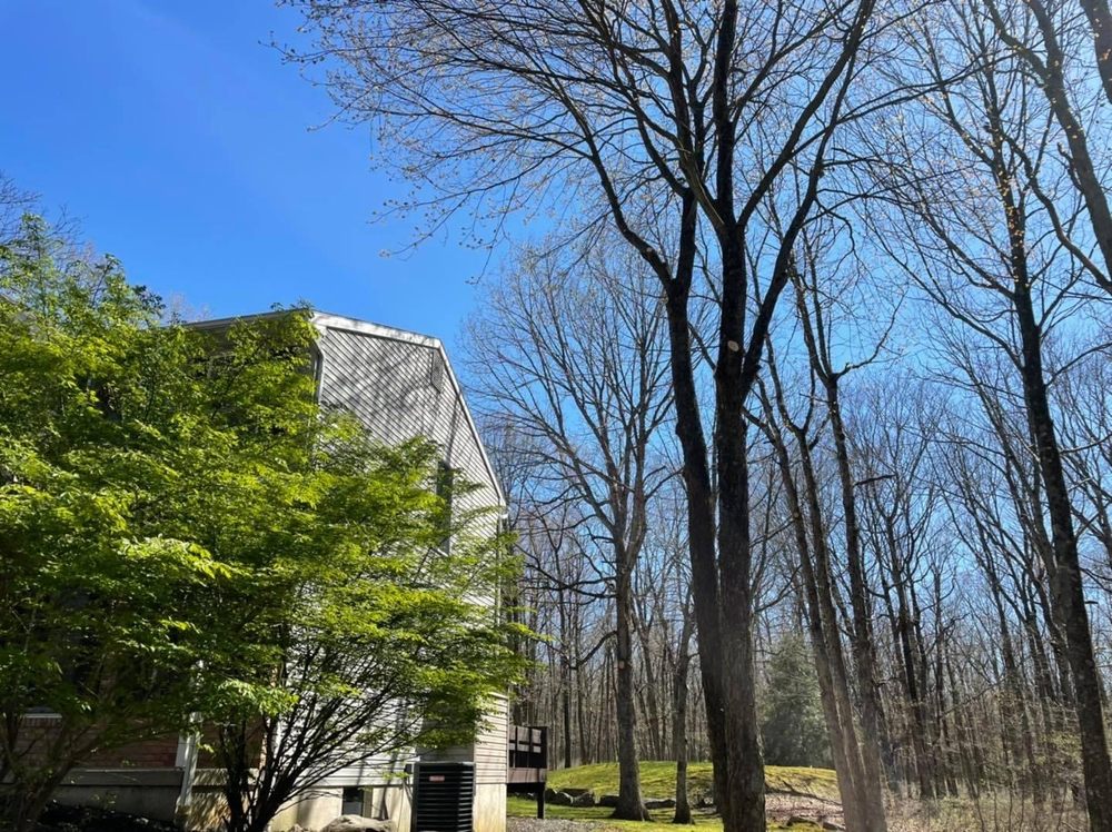 Greens Tree Service