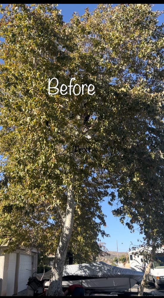 Art's Tree Service
