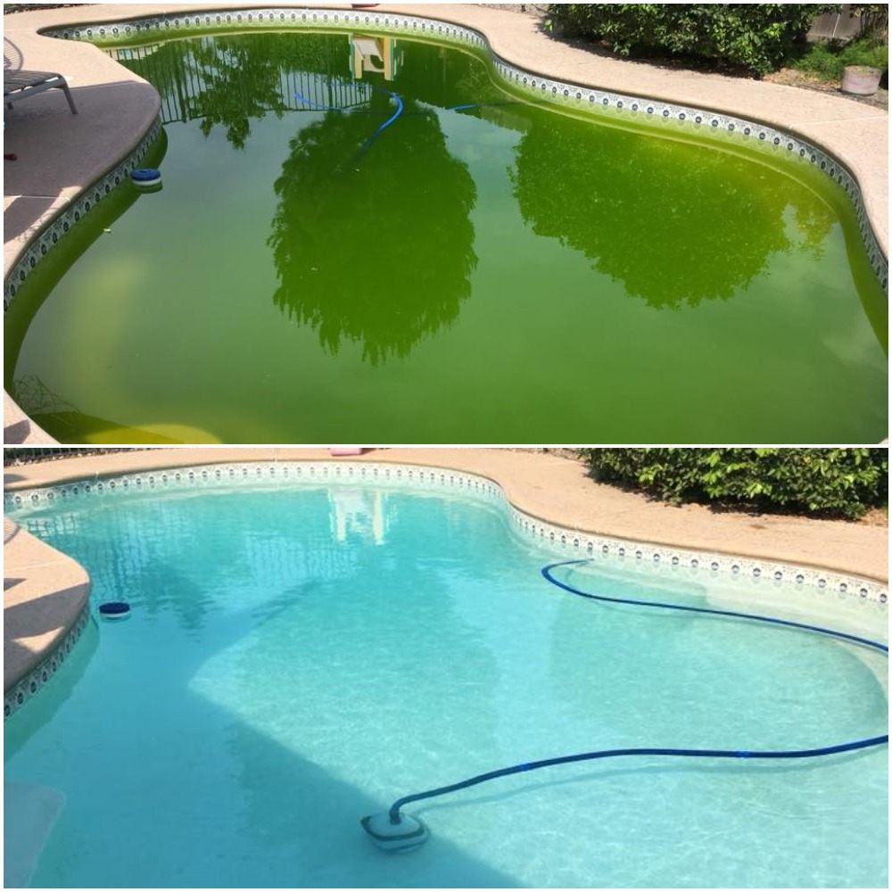 All American Pool Company