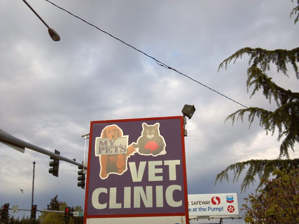 My Pets Vet Clinic 58 Reviews Veterinarians 12804 NE 85th St, Kirkland, WA Phone Number