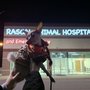 Rascal Animal Hospital and Emergency Care