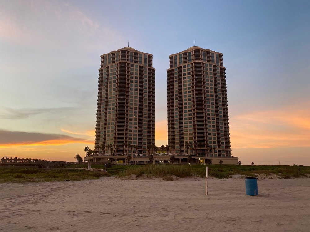 Palisade Palms