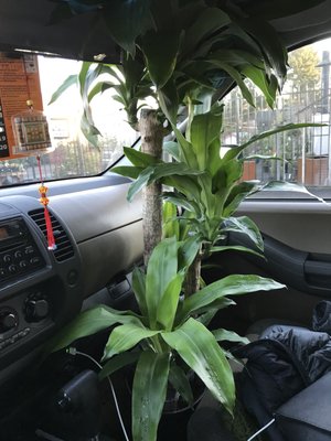 Portland Nursery 9000 Se Division St Or Nurseries Mapquest