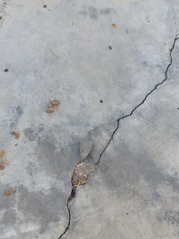 image of business Olympic Systems