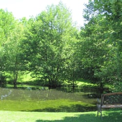Dollinger S Inn Suites 11 Photos Hotels 4908 Lake Rd Photo Of Dollinger S Inn Suites Brockport Ny United States Our Duck