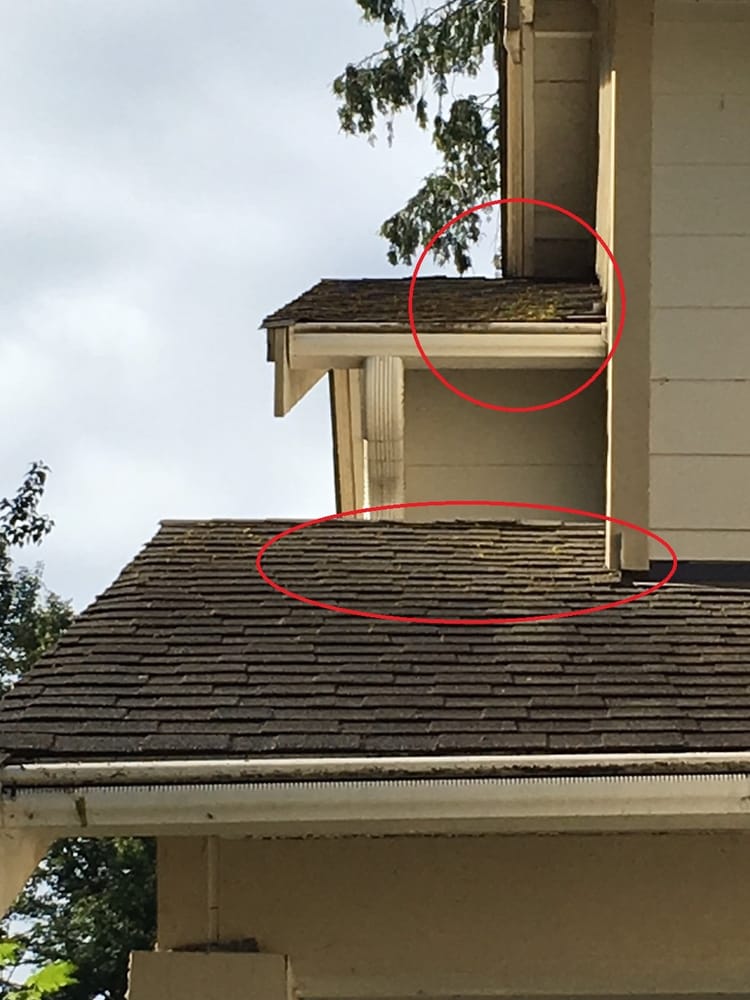 AA Window and Gutter Cleaning