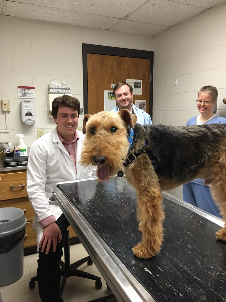 UW Veterinary Care 15 Photos & 17 Reviews Veterinarians 2015