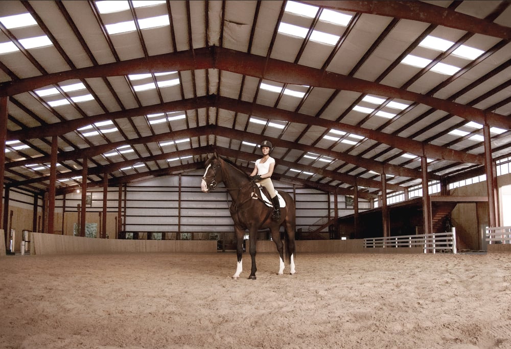 New York Equestrian Center Ltd 45 Photos Horseback Riding 633