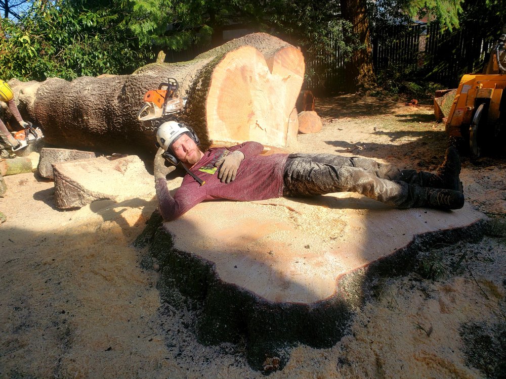 Pacific Arboriculture